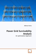 Power Grid Survivability Analysis. An optimization Approach