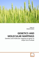 GENETICS AND MOLECULAR MAPPINGS. Genetics and molecular mapping of genes to stripe rust of wheat