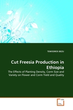 Cut Freesia Production in Ethiopia. The Effects of Planting Density, Corm Size and Variety on Flower and Corm Yield and Quality