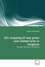 QTL mapping of stay green and related tarits in Sorghum. Drought tolerance mechanism