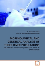 MORPHOLOGICAL AND GENETICAL ANALYSIS OF THREE RIVER POPULATIONS. OF BHAGNA: Labeo ariza (HAMILTON, 1807) IN BANGLADESH
