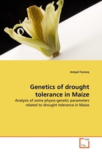 Genetics of drought tolerance in Maize. Analysis of some physio-genetic parameters related to drought tolerance in Maize