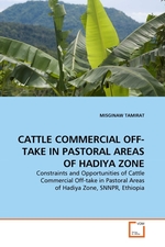 CATTLE COMMERCIAL OFF-TAKE IN PASTORAL AREAS OF HADIYA ZONE. Constraints and Opportunities of Cattle Commercial Off-take in Pastoral Areas of Hadiya Zone, SNNPR, Ethiopia