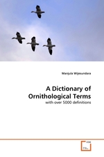 A Dictionary of Ornithological Terms. with over 5000 definitions