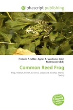 Common Reed Frog