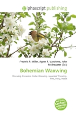 Bohemian Waxwing