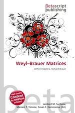 Weyl–Brauer Matrices