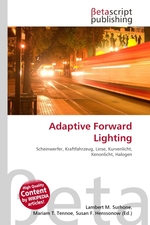 Adaptive Forward Lighting