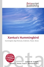 Xantuss Hummingbird