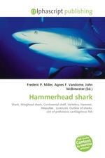 Hammerhead shark