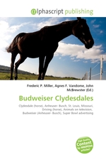 Budweiser Clydesdales