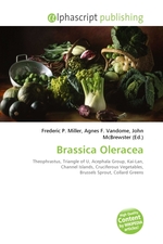 Brassica Oleracea