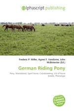 German Riding Pony