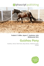 Guizhou Pony