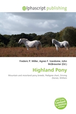 Highland Pony