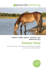 Exmoor Pony