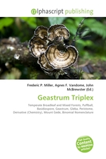 Geastrum Triplex