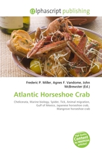 Atlantic Horseshoe Crab