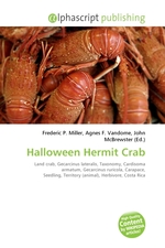 Halloween Hermit Crab