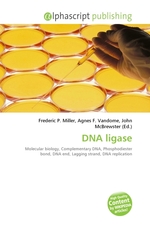 DNA ligase