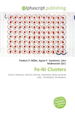 Fe-Ni Clusters