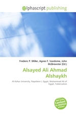 Alsayed Ali Ahmad Alshaykh