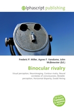 Binocular rivalry