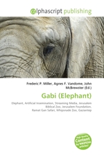 Gabi (Elephant)