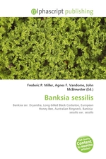 Banksia sessilis