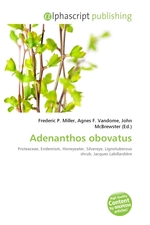 Adenanthos obovatus