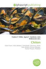 Chiton