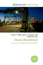 Hevea Brasiliensis