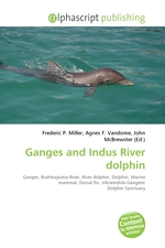 Ganges and Indus River dolphin