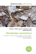 Dendraster excentricus