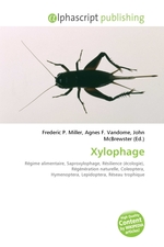 Xylophage