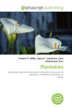 Plantation