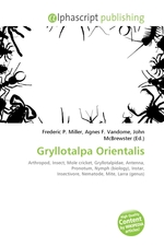 Gryllotalpa Orientalis