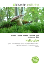 Heliocybe