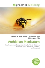 Anthidium Manicatum