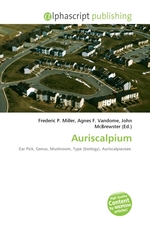 Auriscalpium