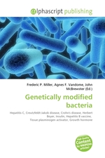 Genetically modified bacteria