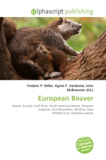 European Beaver