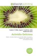 Actinidia Deliciosa