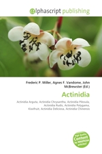 Actinidia