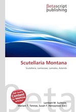 Scutellaria Montana