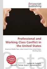 Professional and Working Class Conflict in the United States