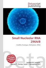 Small Nucleolar RNA 296A/B