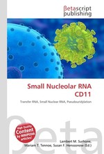 Small Nucleolar RNA CD11