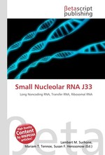 Small Nucleolar RNA J33