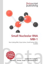 Small Nucleolar RNA MBI-1